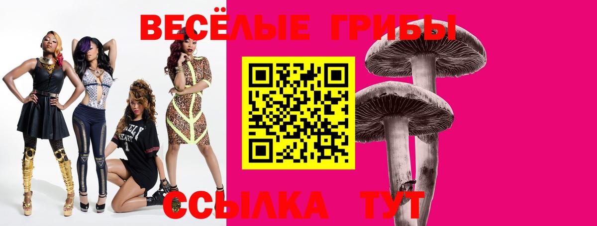 Псилоцибиновые грибы прущие грибы  Вход с VPN  Кинель 